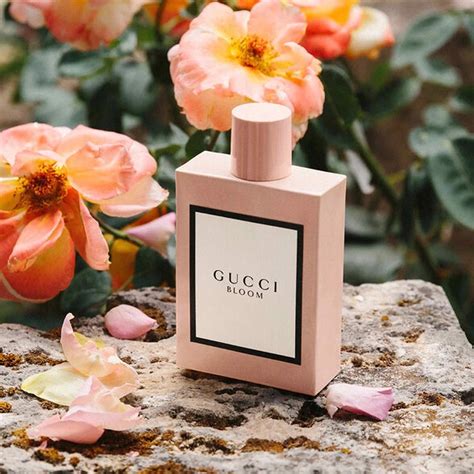 gucci bloom hồng